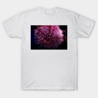 Pink Sea Urchin T-Shirt